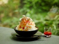 森のかき氷  【選べる紅茶 または コーヒー付き】