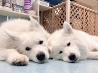 <<Summer Vacation Period (Weekdays)>> Regular Ticket (50 minutes)