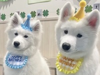 ≪夏休み期間 (土日祝)≫通常チケット（50分）