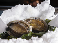 鮑とうかい特選牛ランチコース【￥16,500】7/12～ 