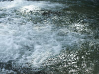 【１泊１食】Tasting Course　-IRORI