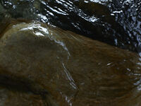 【Ki】 Tasting Course