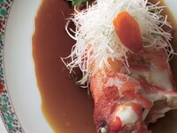 琥珀(こはく)コース 22000