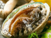 【スパークリング含む飲み放題付】鮑、厳選サーロインステーキ等