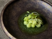 Vegan Lunch Course (Saturday only) with 5 types of pairing drinks