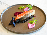 オフィシャルWEB限定【カジュアル美食セット】選べるパスタやメイン＋モクテル含む2時間飲み放題＋食後のカフェ＆メッセージプレート