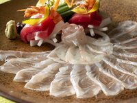 Celebration option - Kotobuki -