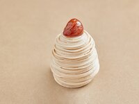 Japanese Chestnut Mont Blanc