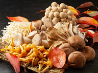 【9/6限定】黄金の秋に酔いしれる 珠玉のフレンチとワインの調べ（SPペアリングワイン3種）