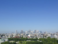THE Sky  New Year's holiday Lunch Buffet