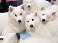≪平日≫通常チケット（50分）