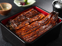 鹿儿岛县大隅产的特制鳗鱼