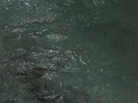 Tasting Course-Non alcohol Pairing