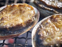 ワンドリンク+プチギフト付き　薪焼き鮑ディナーコース¥22000