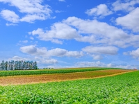 【芽室町ふるさと納税寄付者限定】おまかせコース　
