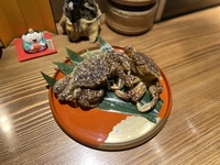 【会員様】旬の食材とのどぐろコース3/1-4/30