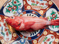 [Additional option *Course only] Kinki