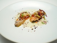 CORSO LEGGERO Light course