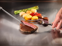 ランチ鉄板焼き雅コースメニュー （平日）