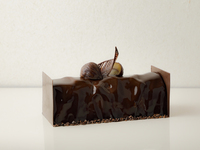 Chocolate Buche de Noel with Kyoyamato chestnuts