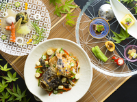 [Private room guaranteed] Family Kaiseki plan with all-you-can-drink for 10,000 yen