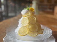 【かき氷】はちみつレモン