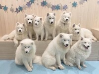 ≪토일요일 공휴일≫ 전세 플랜(50분)¥45,000