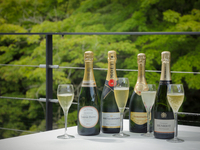 [Option] Includes 3 types of wine pairing