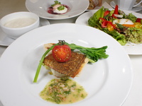 9月～ ディナー【Saisonnier～セゾニエール ポワソン～】神奈川野菜サラダ、鮮魚など全5品（9月以降）