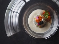 Monthly Dinner Course — “SPECIAL” Course