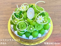 [Available for pre-order starting August 21st] Shine Muscat Tart [Approx. 16cm diameter] Serves approximately 4-6 people [¥5,554 (excluding tax)]