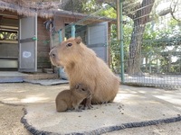 【 ビュッフェ | 平日 】海浜公園チケット付き (大人)