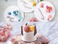 [CK Plan {7 items in total}] Premium anniversary plan with a choice of cake (please leave a message in the request field) *+300 yen on weekends