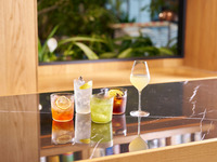 [PARTY PLAN] Large plate sharing course + 120 minutes of all-you-can-drink (L.O. 90 minutes)