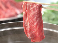 【¥5,500】柳しゃぶ天国(大人･公立学校共済岐阜支部組合員様専用)