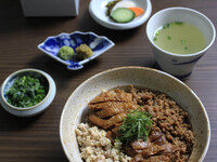 Hakata Chicken Mabushi