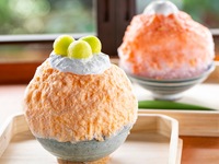 Summer Limited — 五木茶屋 Special Fresh Fruit Kakigōri (Shaved Ice)