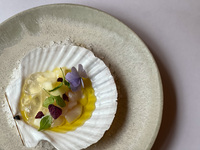 【全6皿-DINNER COURSE】