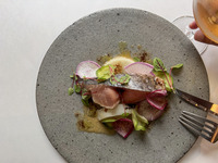 【6-Course Dinner】