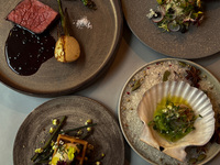 【10-Course Dinner】