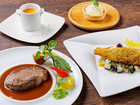 ハーフブッフェランチ TORIKO スペシャルセット　【WEB予約特典有】