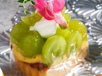 シャインマスカットのタルト