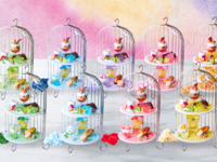 Pick-Your-Favorite-Color Afternoon Tea Set — Choose from 11 Colors: Room Fee + All-You-Can-Drink + Color-Themed Afternoon Tea / 3 hours (Mon–Fri)