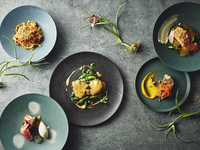 Dinner course (5 dishes)