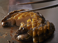 【桜 -Sakura-】 Seasonal Teppan «Saison» Course