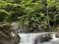 무알코올 페어링 코스