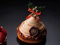 【テイクアウト・クリスマスケーキ】Noëlモンブラン（約10cm）