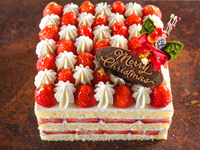 スペシャルショート