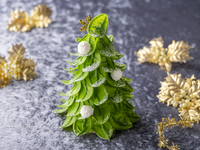 【Prepaid】Christmas cake「Emerald Forest」