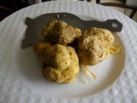 Dinner　おまかせⒸ　白トリュフ